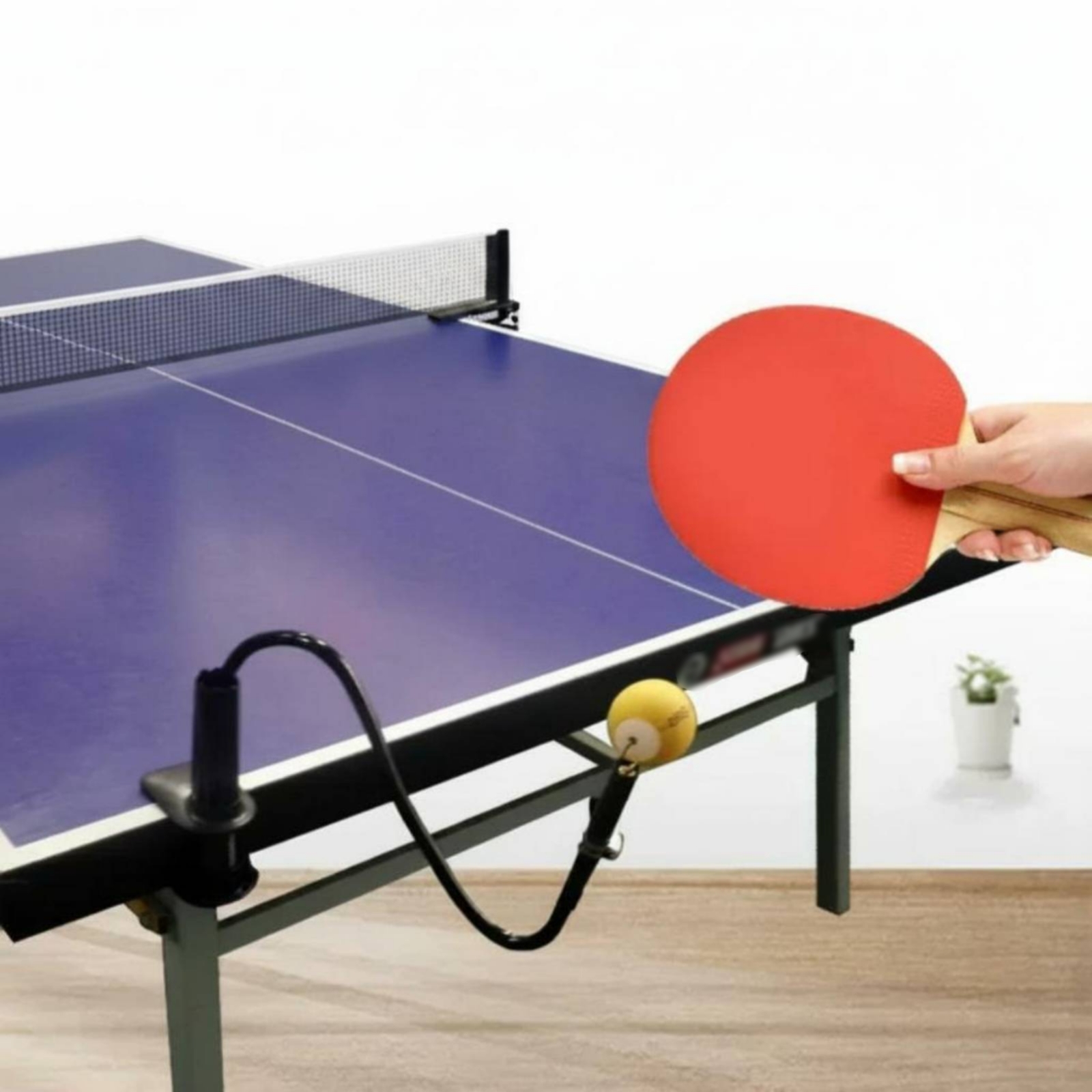Acessório de Prática Individua - Table Tennis Youtube avaliação e preço